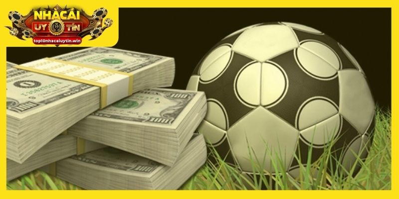 Học hỏi mẹo cược bóng đá từ cao thủ để dễ dàng chiến thắng